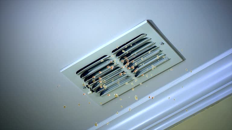 Best HVAC Duct Inspection Services  in Chebanse, IL