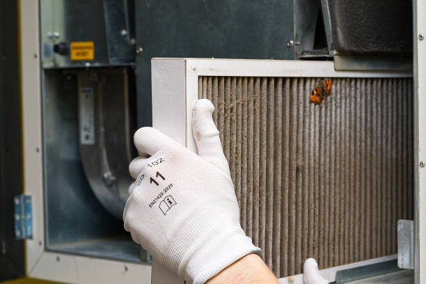Best Affordable Duct Cleaning Services  in Chebanse, IL