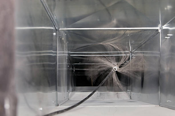Best Air Duct Sanitizing Services  in Chebanse, IL