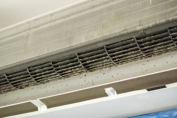 Best HVAC System Cleaning  in Chebanse, IL